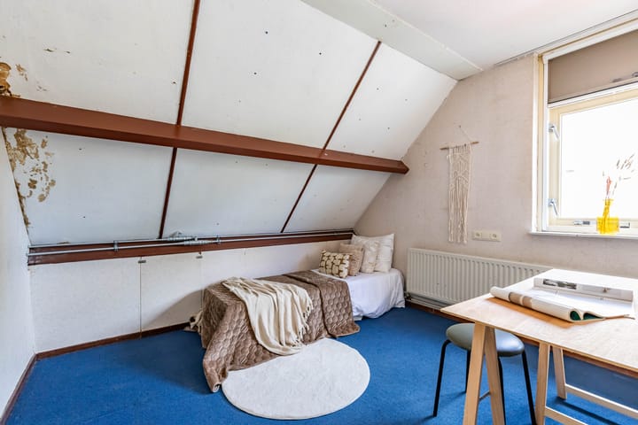 Foto 17 van Patrijs 14