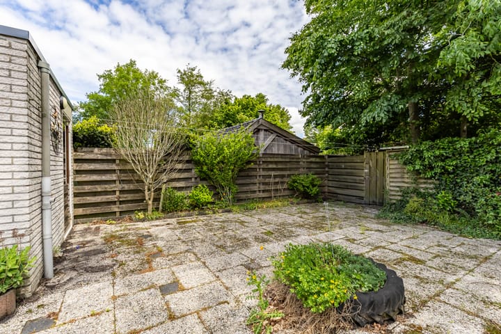 Foto 30 van Patrijs 14