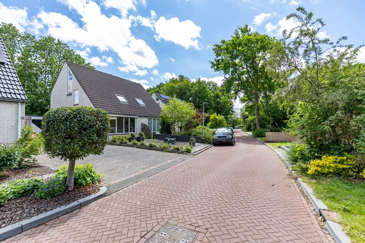 Foto 40 van Patrijs 14