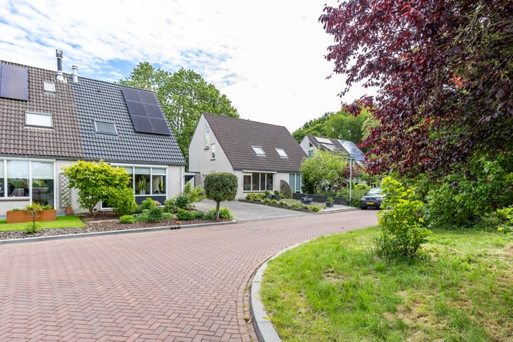 Foto 41 van Patrijs 14