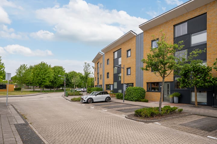 Foto 44 van Zandhaver 39