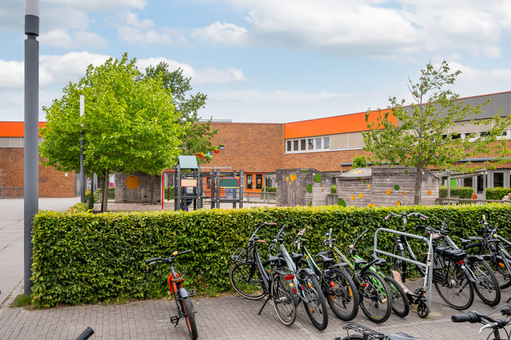 Foto 46 van Zandhaver 39