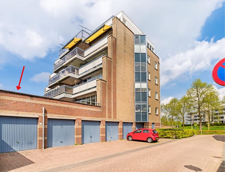 Foto 3 van Dotterbloem 1