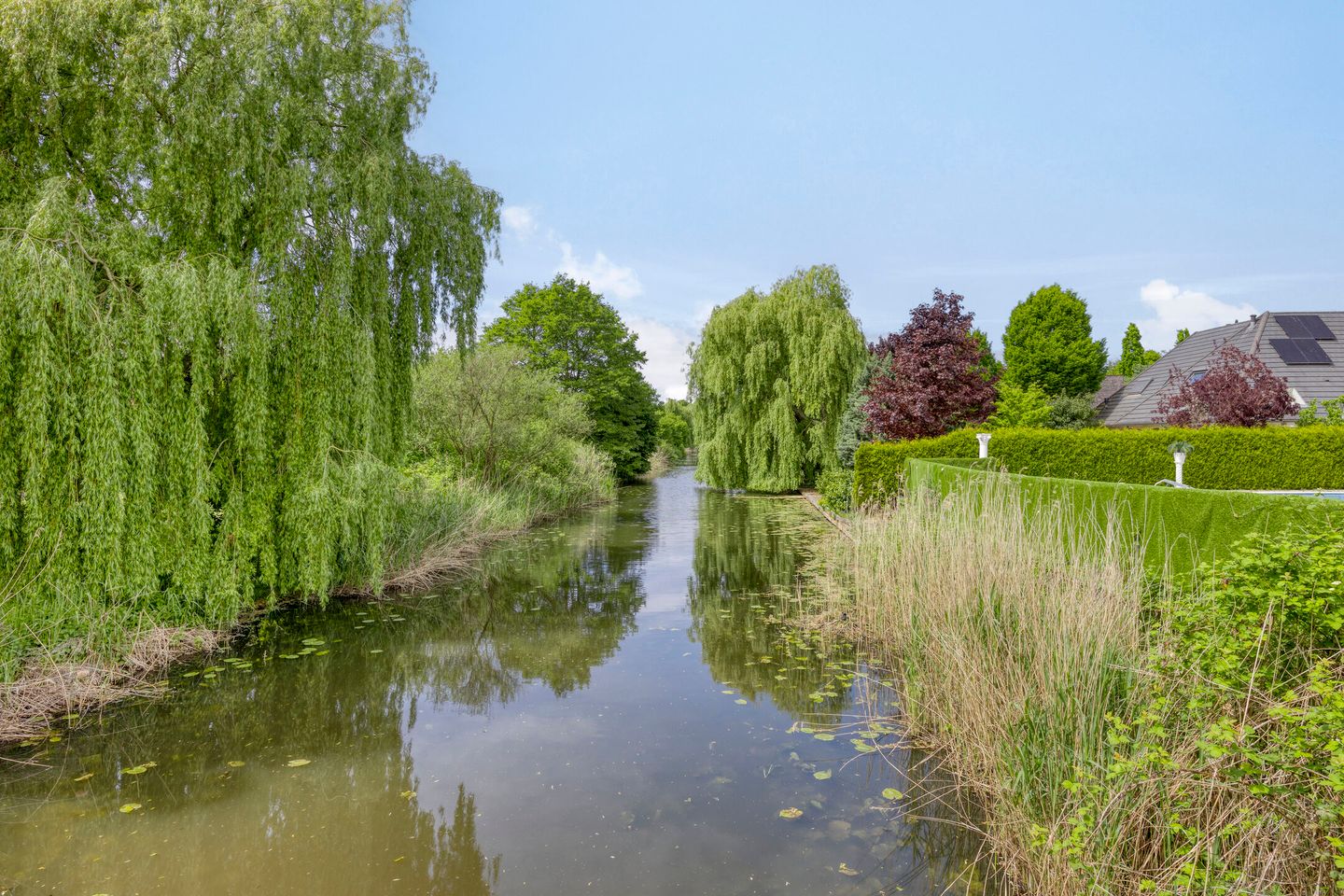 Foto 4 van Vergulde Draakstraat 5