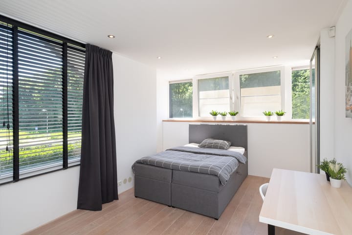 Foto 35 van Pelikaan 99