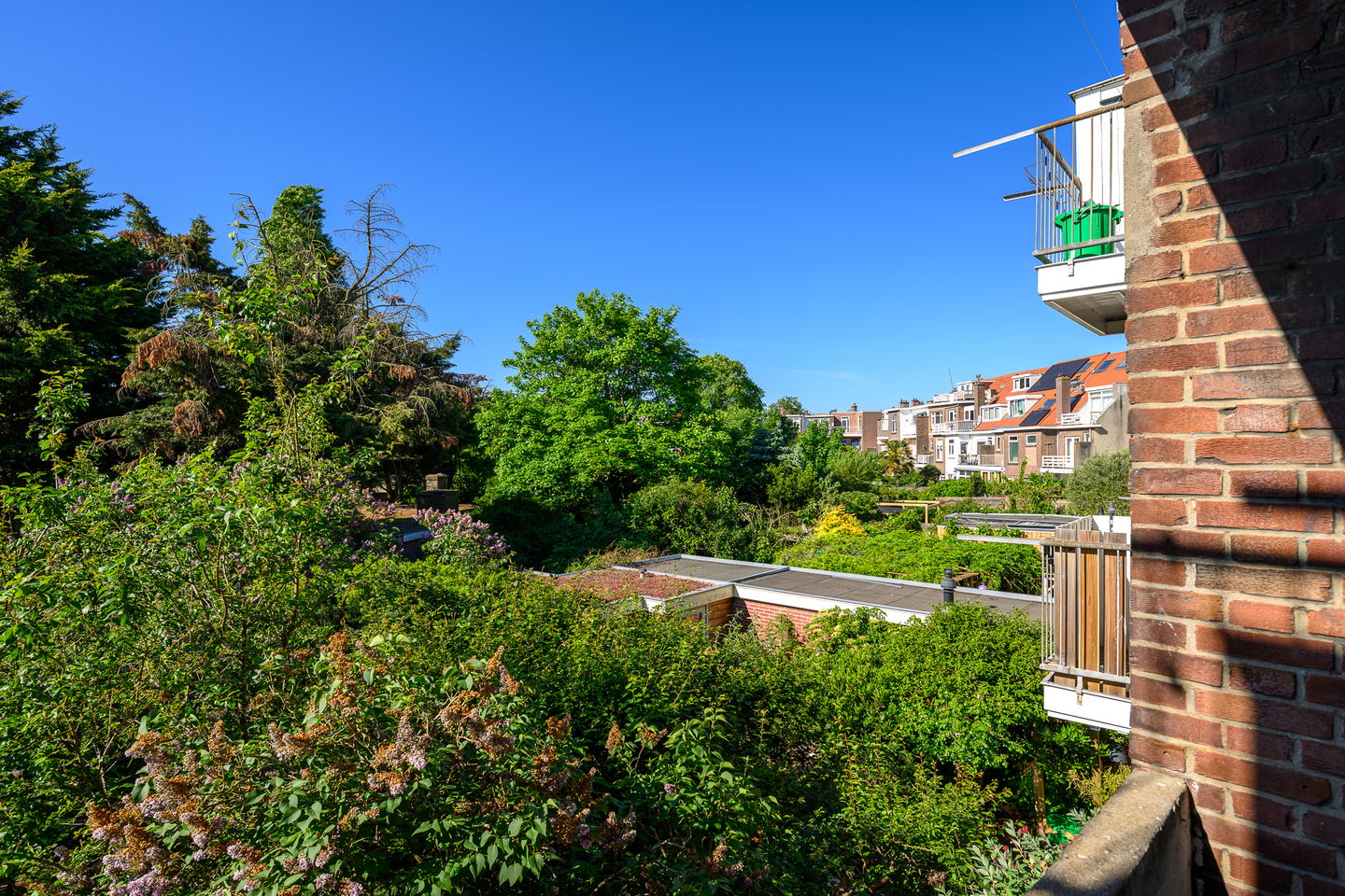 Photo 5 of Prins Mauritslaan 116