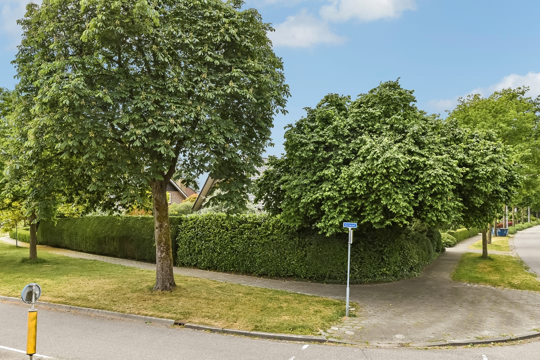 Foto 8 van De Wuurde 33