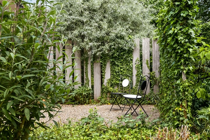 Foto 72 van De Wuurde 33