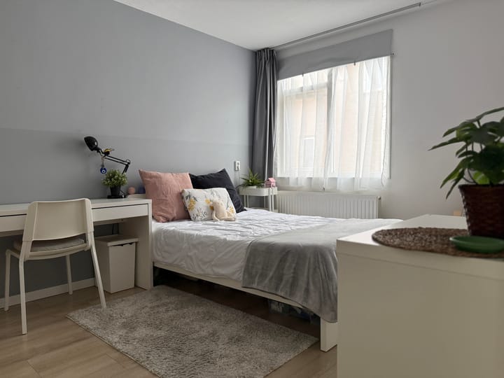 Foto 14 van Hertogstraat 7