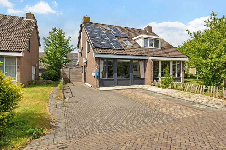 Foto 1 van Sinteblom 4