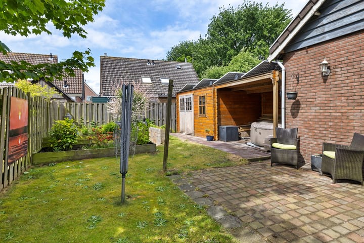 Foto 4 van Sinteblom 4