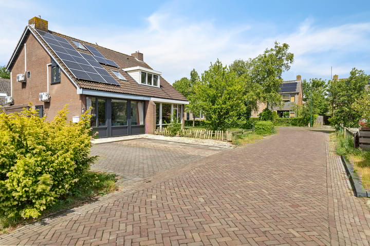 Foto 6 van Sinteblom 4