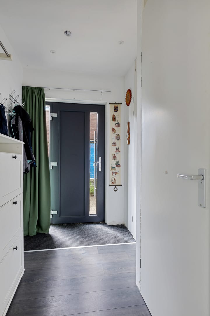 Foto 7 van Sinteblom 4