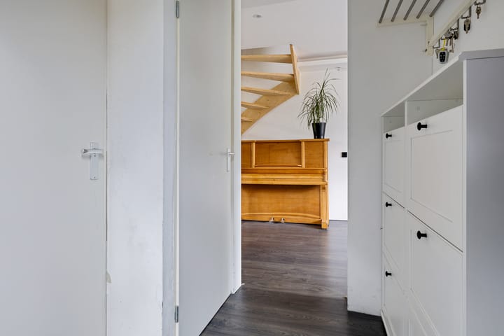 Foto 9 van Sinteblom 4