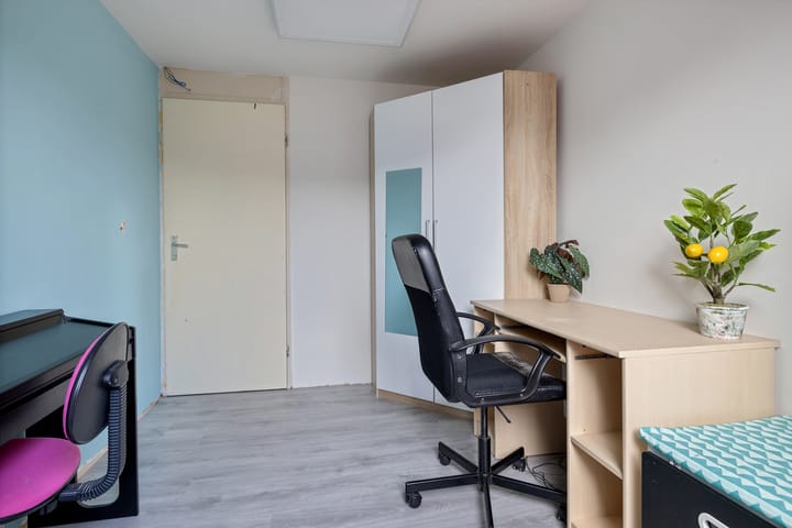 Foto 20 van Sinteblom 4