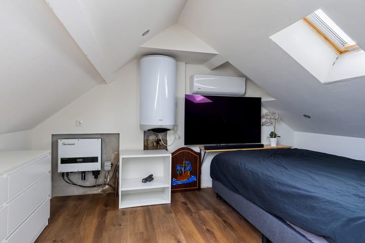 Foto 28 van Sinteblom 4