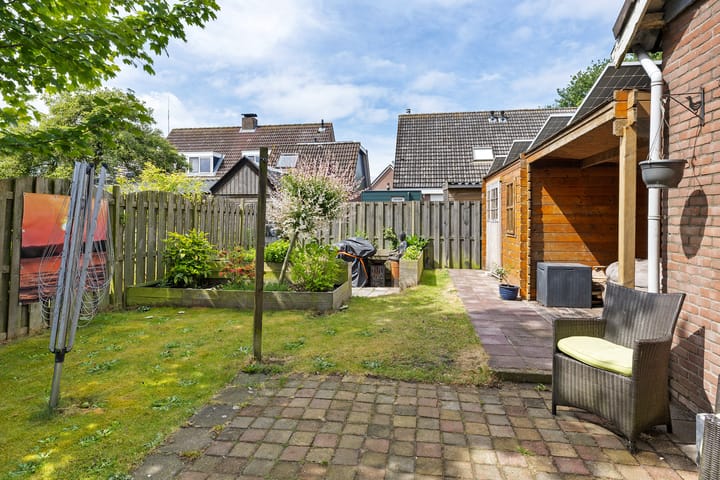 Foto 30 van Sinteblom 4