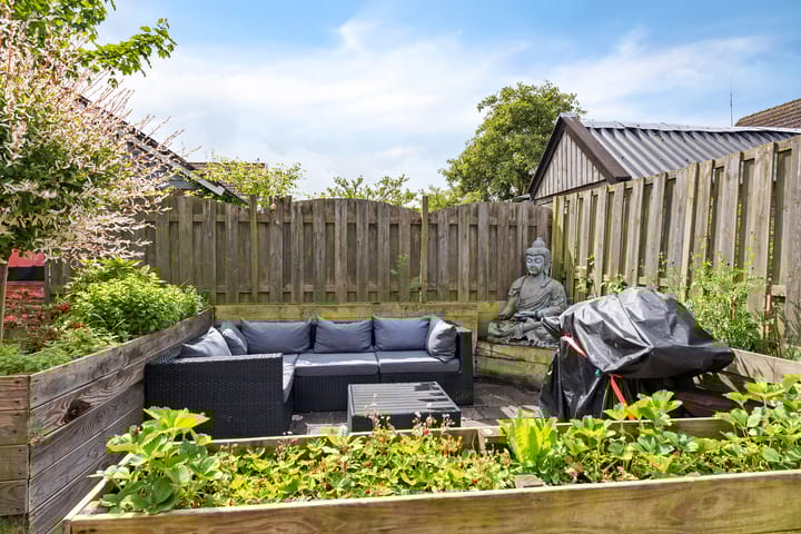 Foto 31 van Sinteblom 4