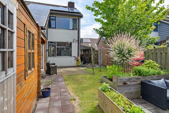 Foto 32 van Sinteblom 4