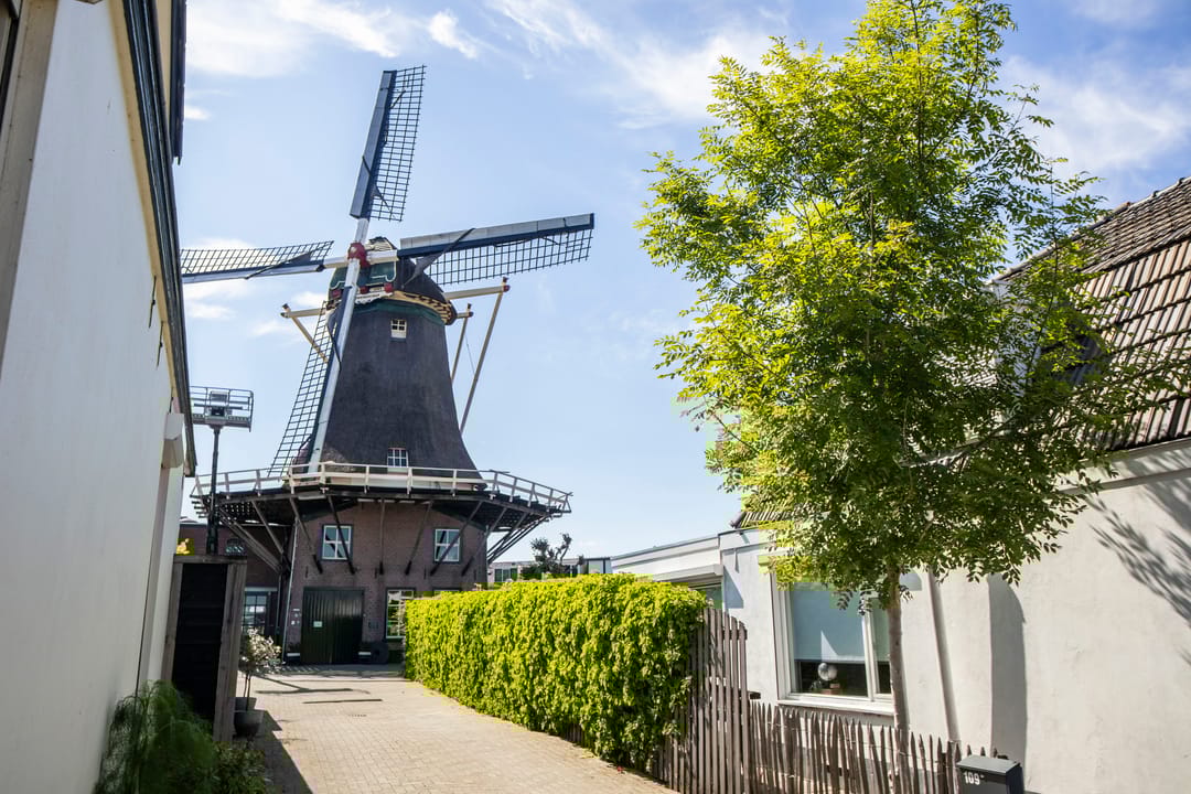 Foto 37 van Nieuweweg 113