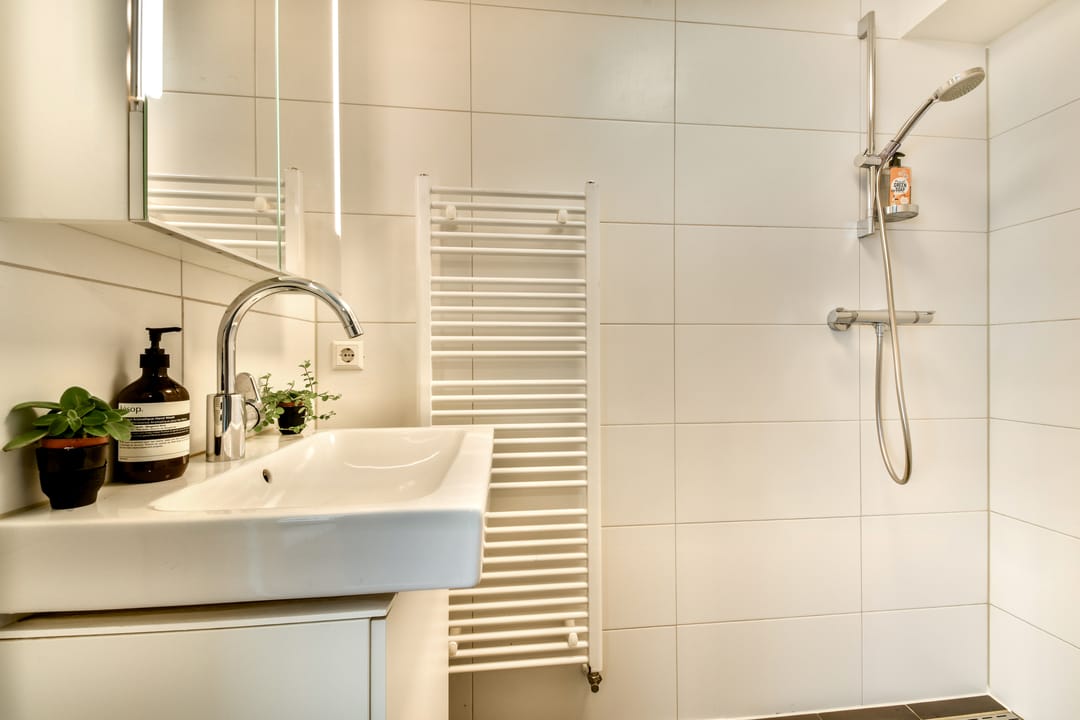 Foto 13 van Goudsbloemstraat 203-D