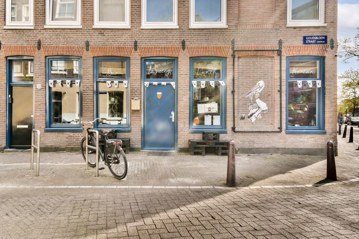 Foto 18 van Goudsbloemstraat 203-D