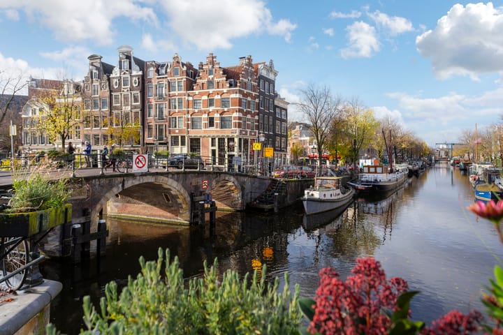 Foto 21 van Goudsbloemstraat 203-D