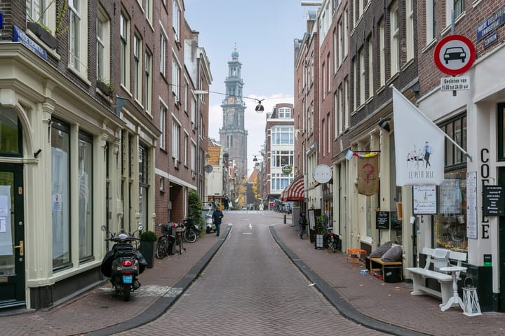 Foto 25 van Goudsbloemstraat 203-D