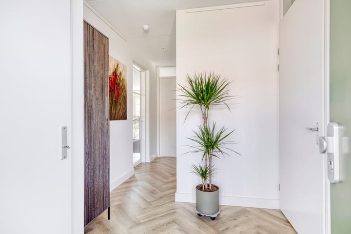 Foto 10 van Luikap 6