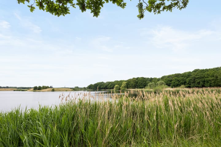 Photo 29 of Demer 57