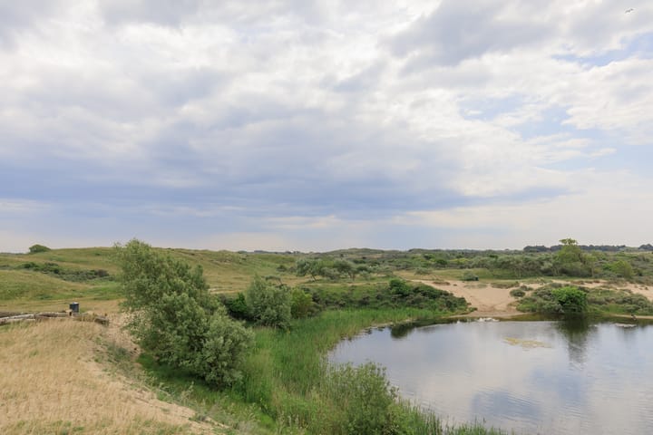 Photo 32 of Kromboomsveld 43