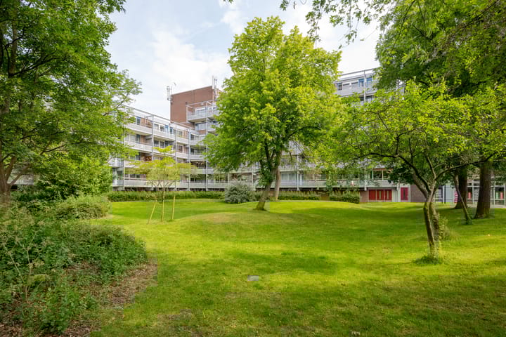 Foto 2 van Koolmeesstraat 19