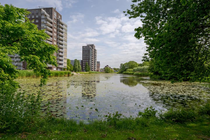 Foto 3 van Koolmeesstraat 19