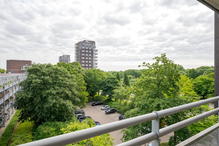 Foto 9 van Koolmeesstraat 19