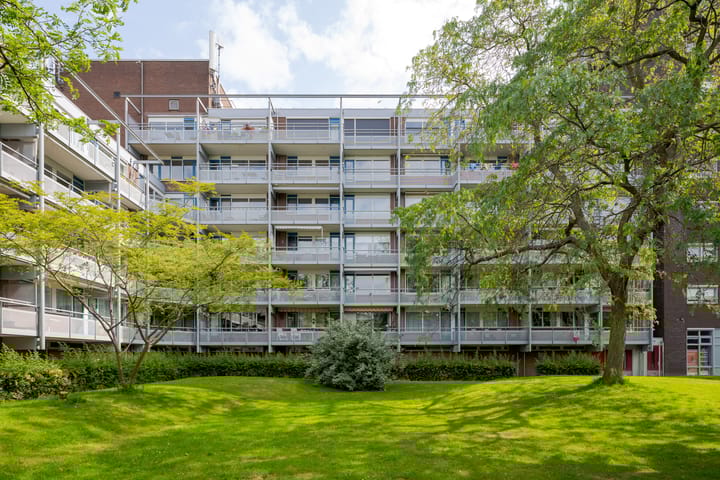 Foto 39 van Koolmeesstraat 19