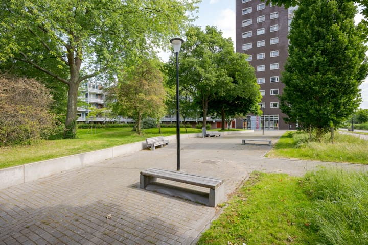 Foto 40 van Koolmeesstraat 19