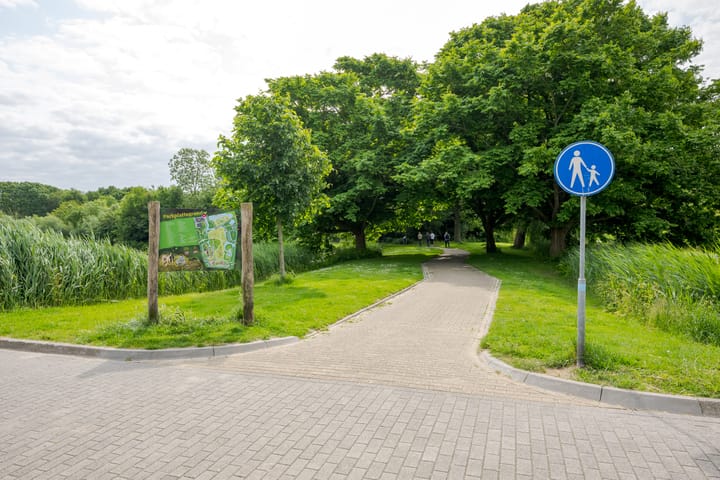 Foto 41 van Koolmeesstraat 19