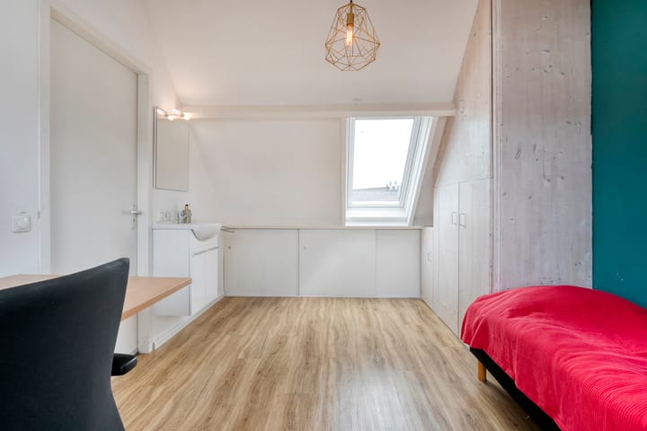 Foto 24 van Van Maanenware 50