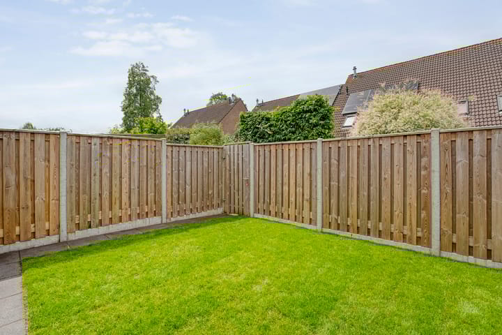 Foto 26 van Van Maanenware 50