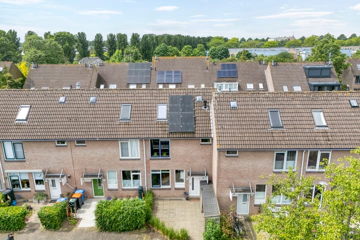 Foto 29 van Van Maanenware 50