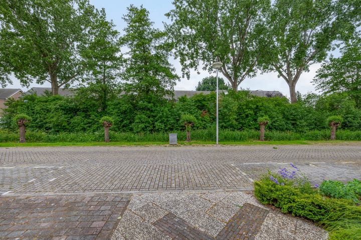 Foto 8 van Apollolaan 45