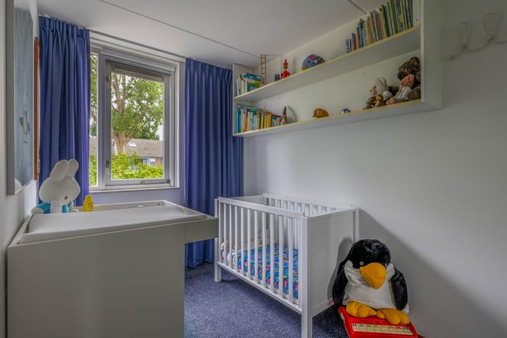 Foto 33 van Apollolaan 45