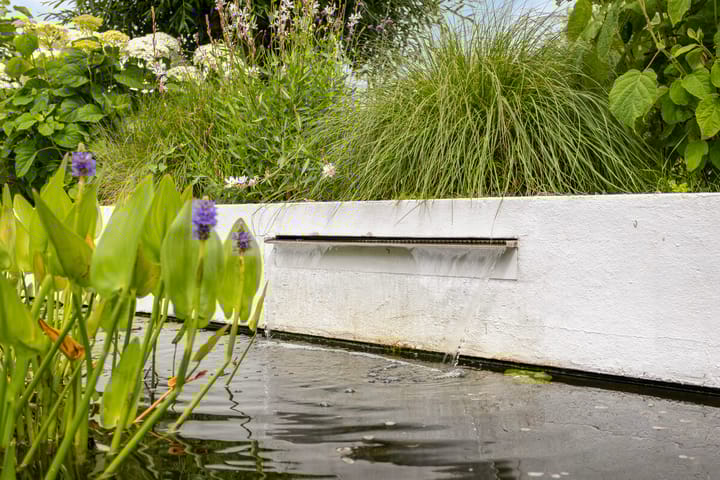 Photo 47 of Brugdam 15