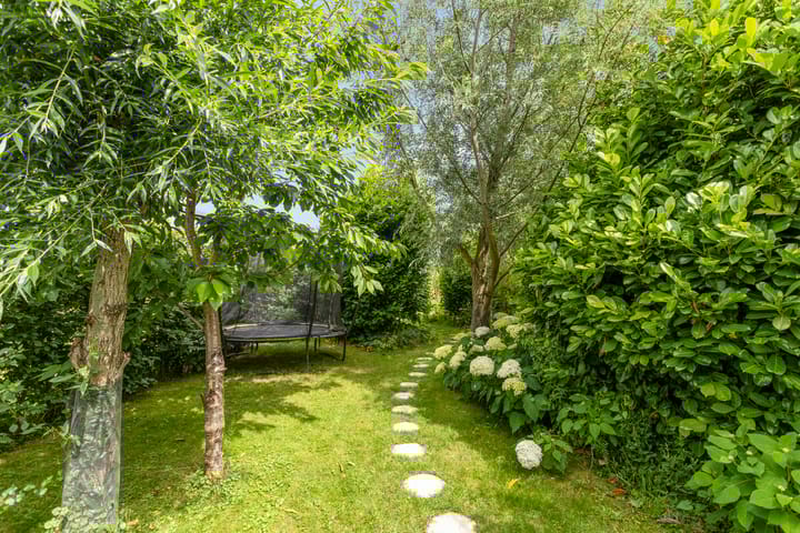 Photo 51 of Brugdam 15