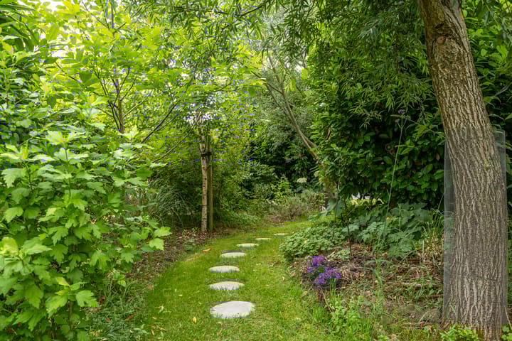 Photo 53 of Brugdam 15