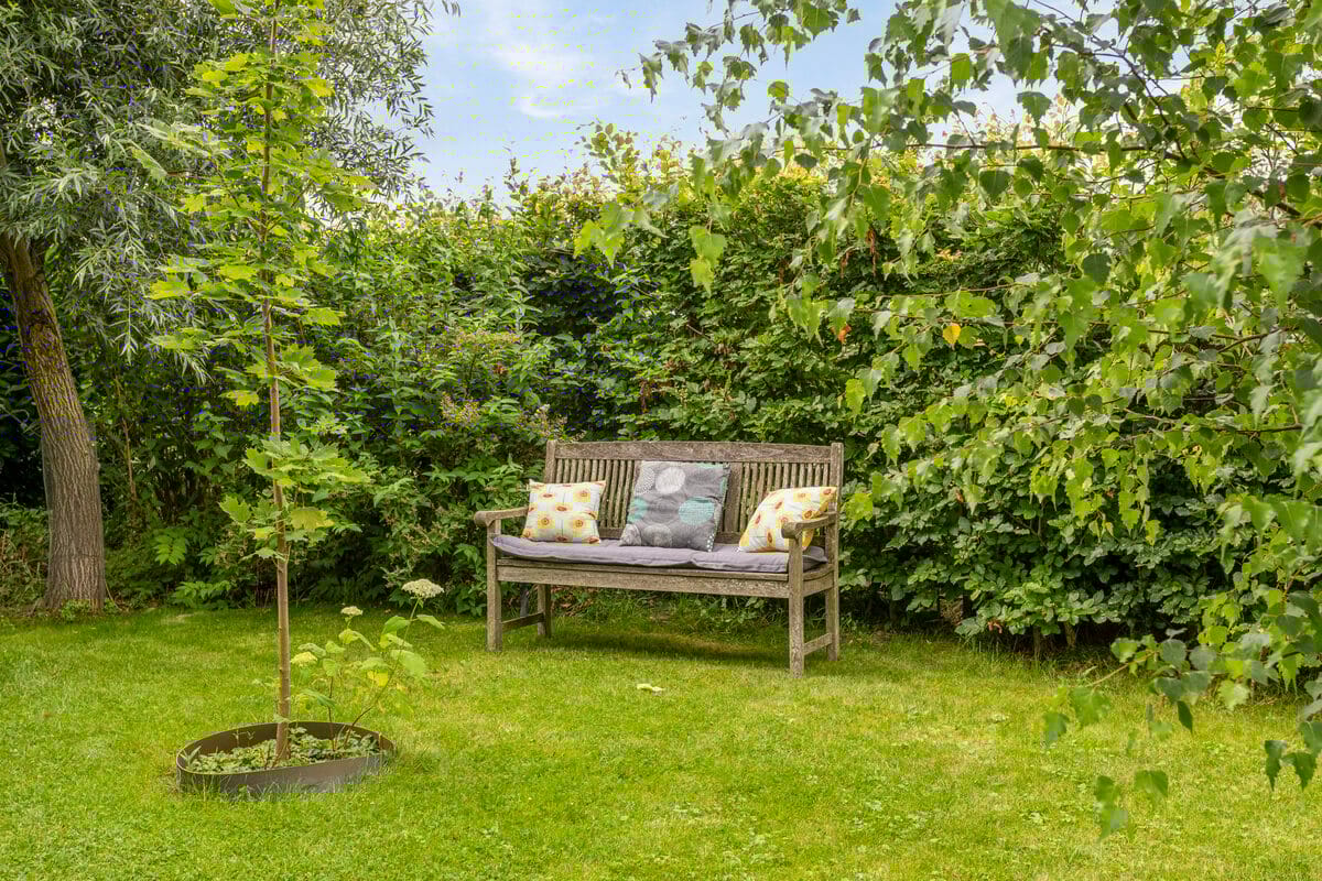 Foto 55 van Brugdam 15