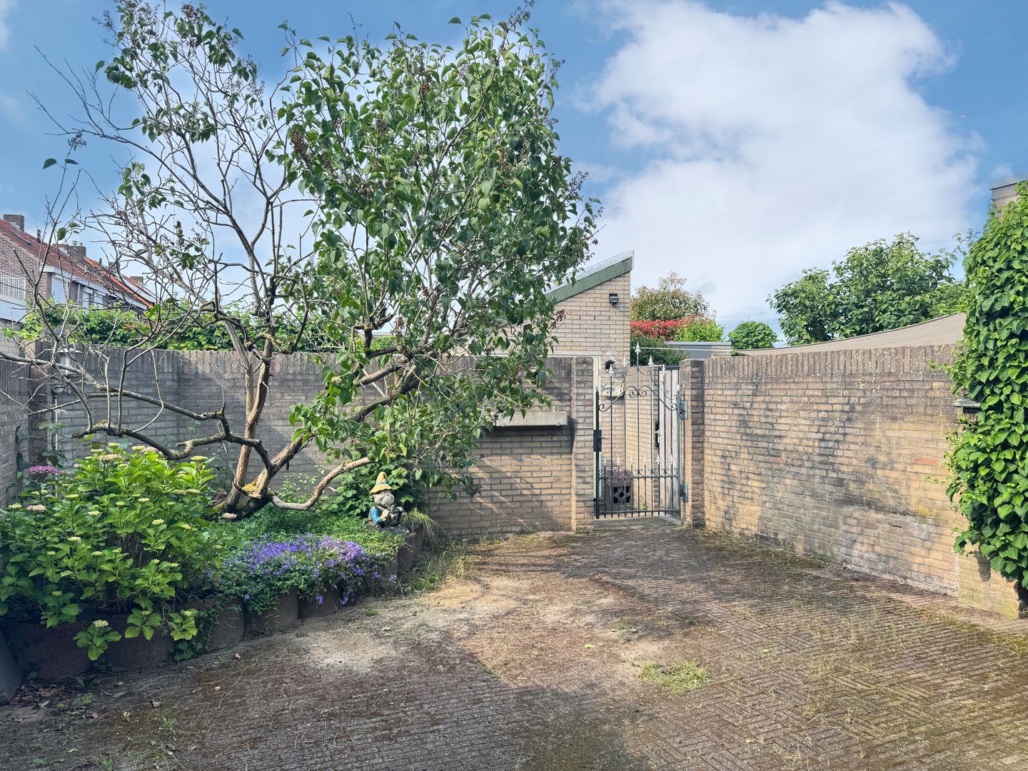 Foto 19 van Maasbreesestraat 82