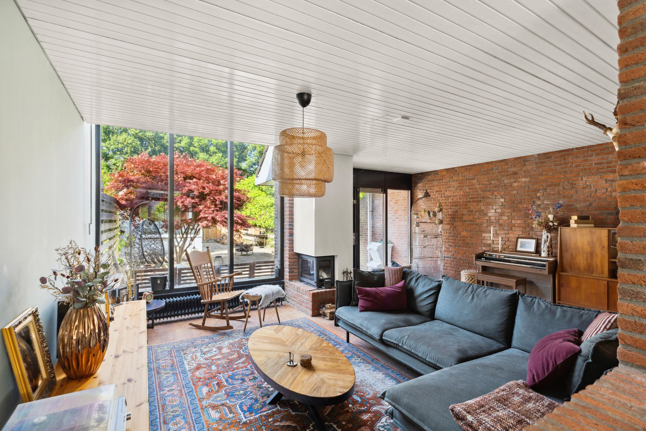 Foto 6 van Punter 41 14