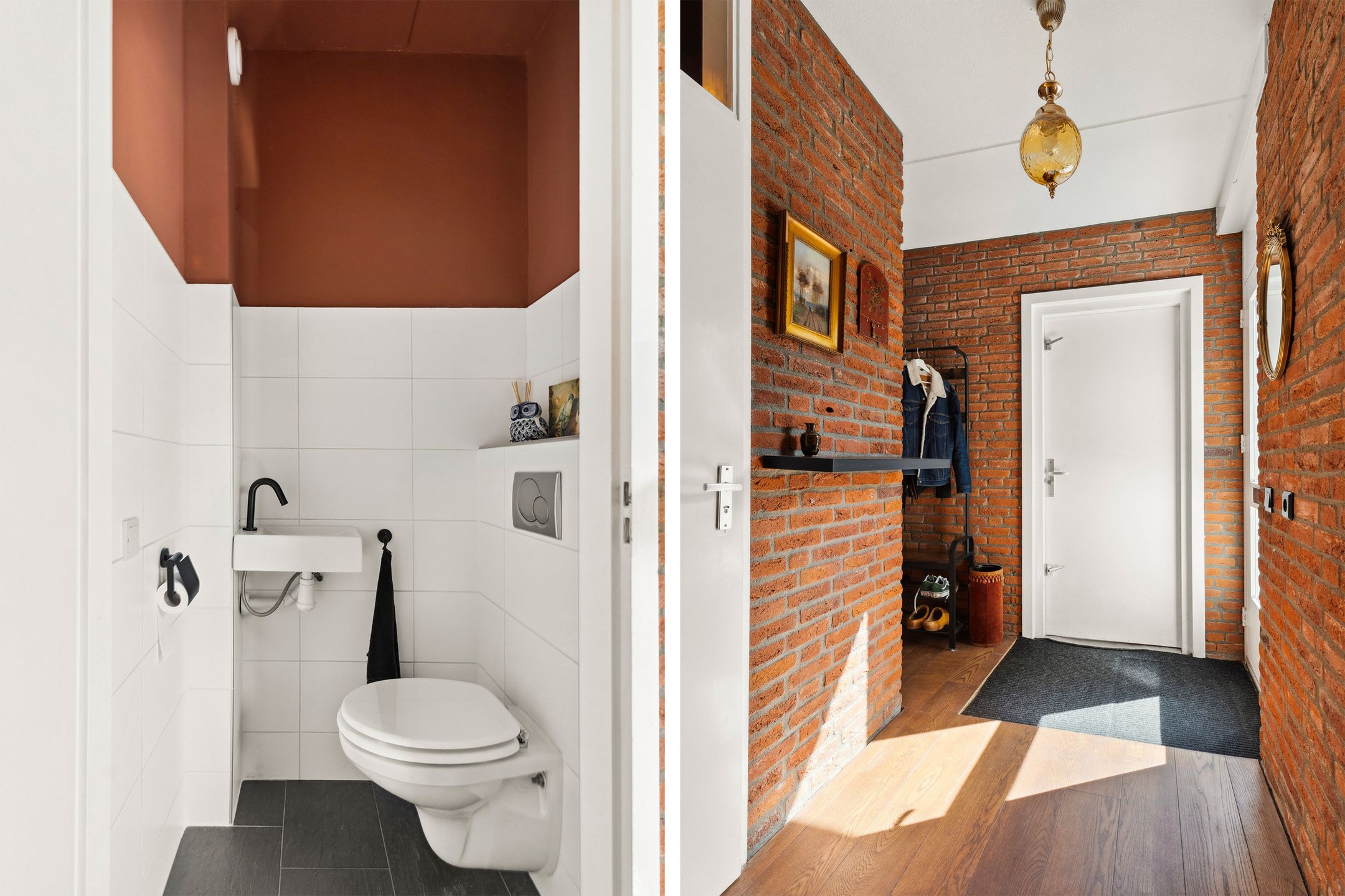 Foto 12 van Punter 41 14