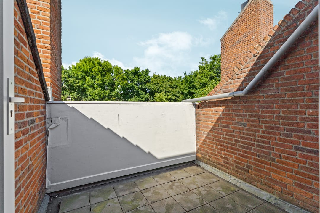 Foto 17 van Punter 41 14